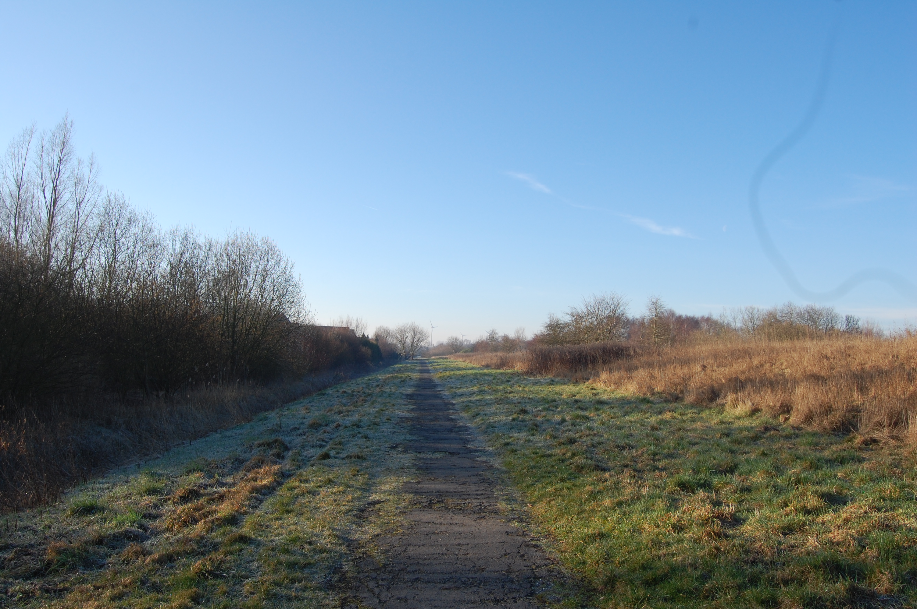 Girl in a jacket
